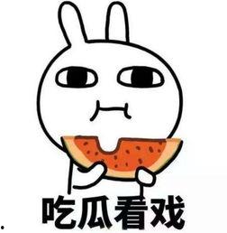 网语吃瓜的视频