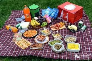 野餐兔网红吃瓜图片高清